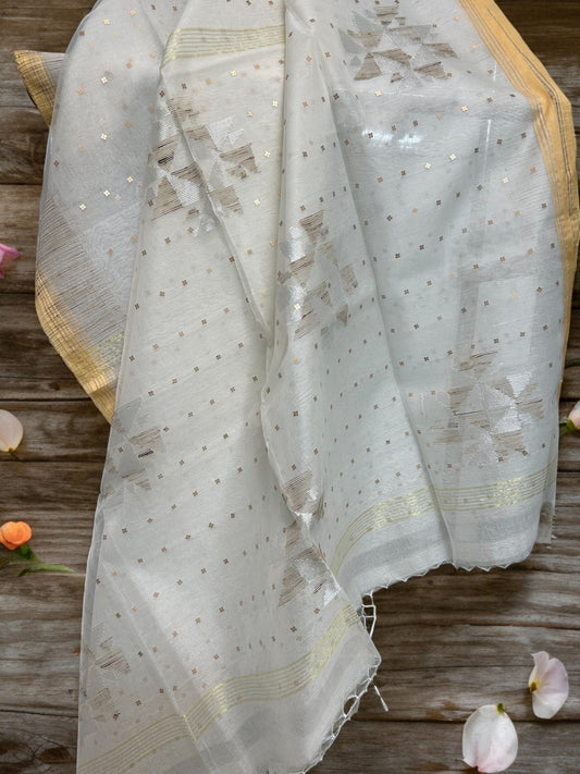 Sequin Muslin Saree - Off White